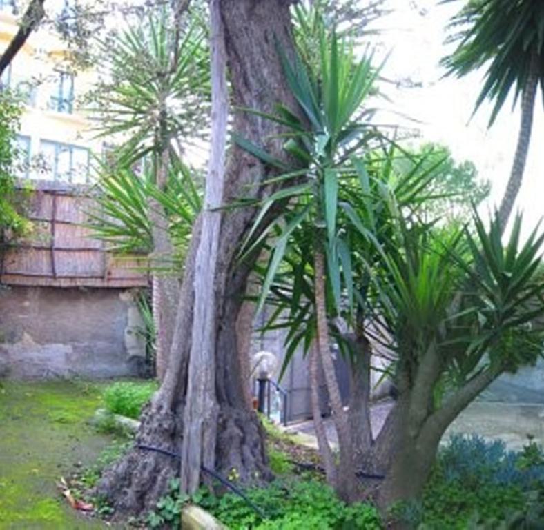 Villa Orchidea ซอร์เรนโต ห้อง รูปภาพ